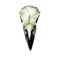 The Vault Resin Reliquary Raven Skull - 2.36"L X 7.0866"W X 8.6614"H